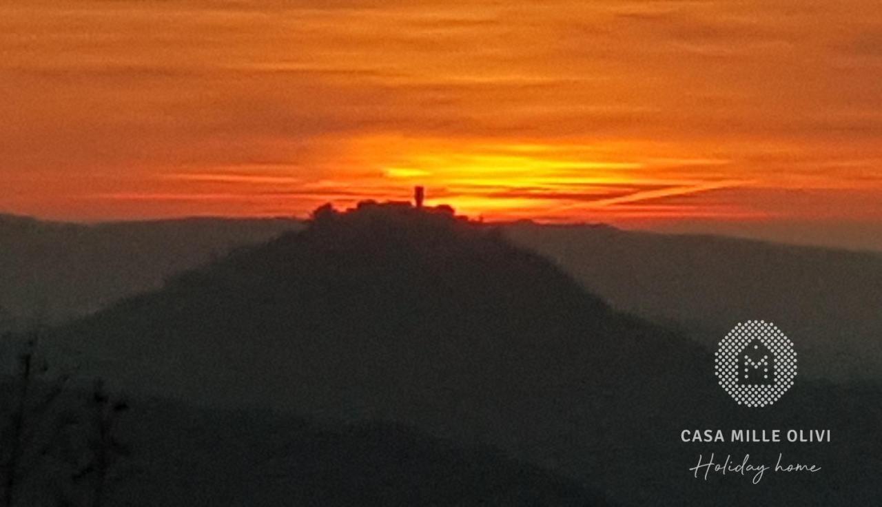 Villa Casa mille olivi Buzet Esterno foto