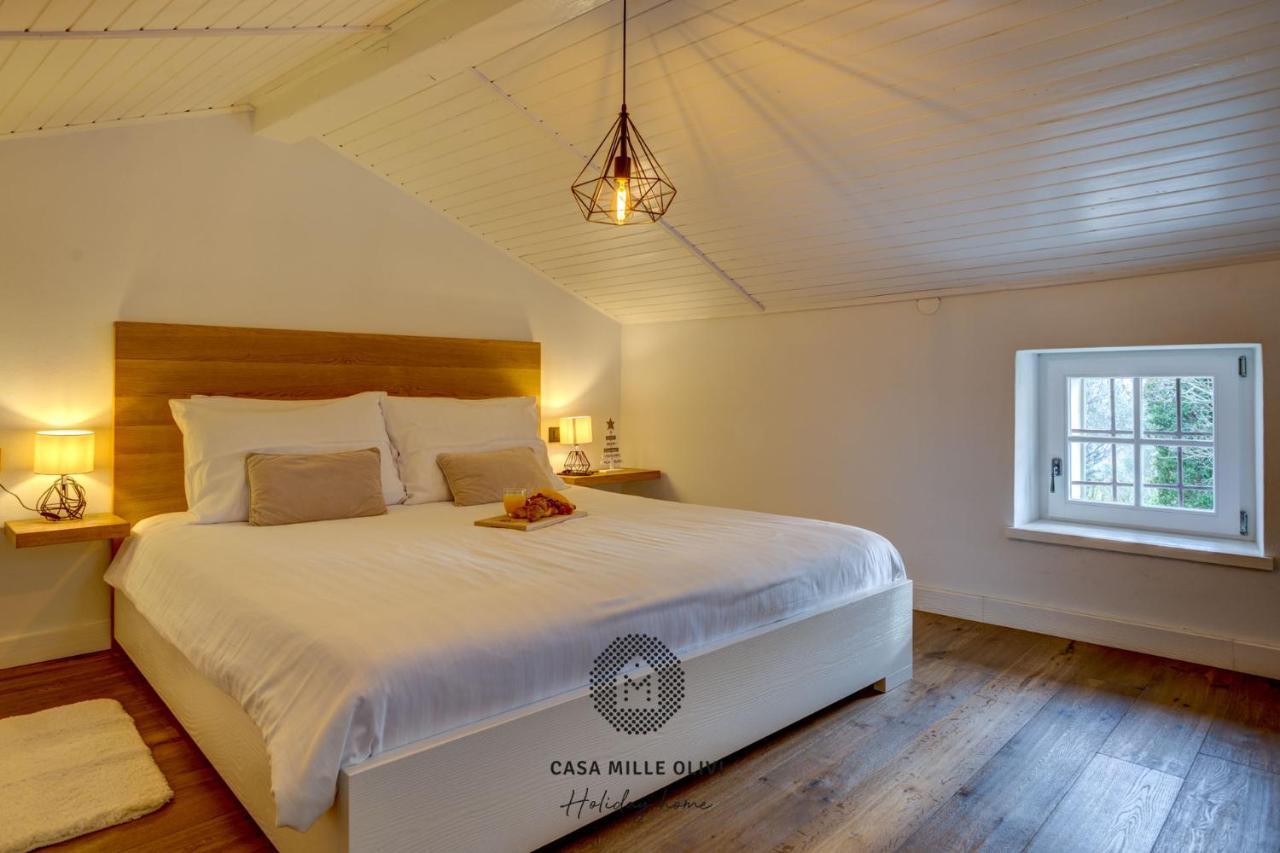 Villa Casa mille olivi Buzet Esterno foto