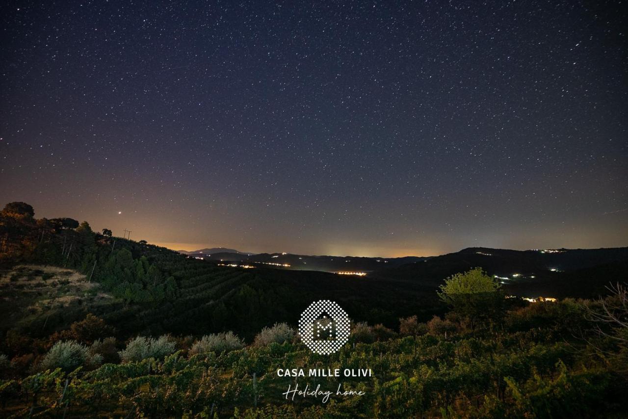 Villa Casa mille olivi Buzet Esterno foto