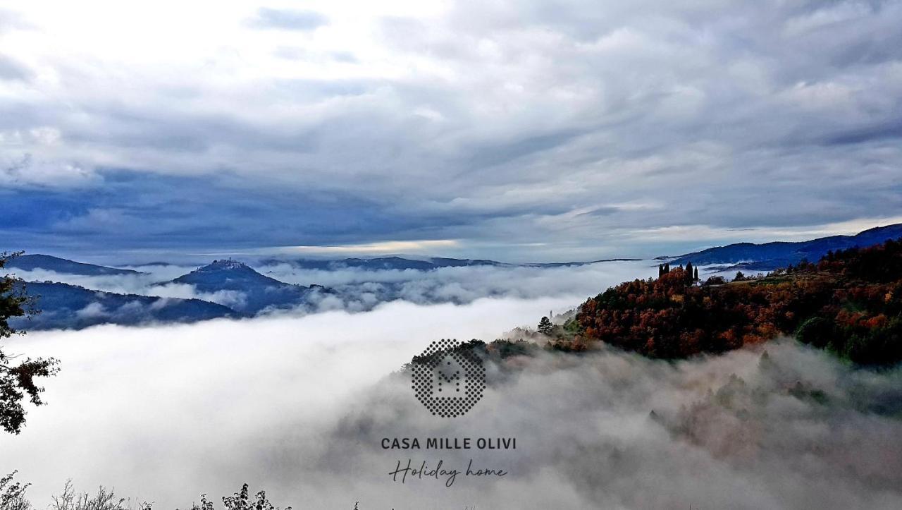 Villa Casa mille olivi Buzet Esterno foto