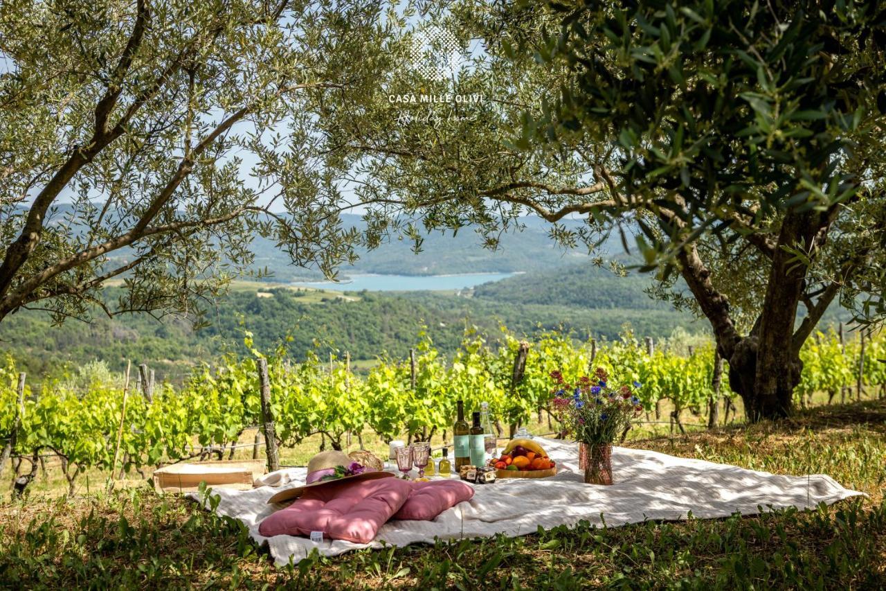 Villa Casa mille olivi Buzet Esterno foto